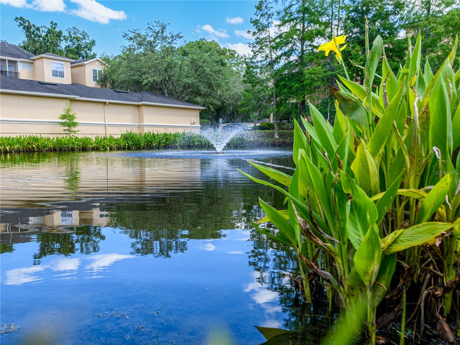 OXFORD PLACE AT TAMPA PALMS A - Residential Lease