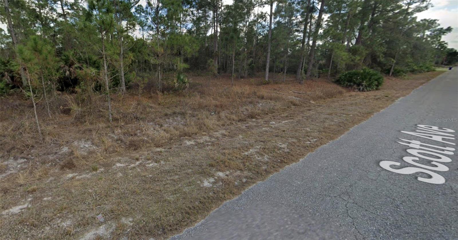 LEHIGH ACRES - Land