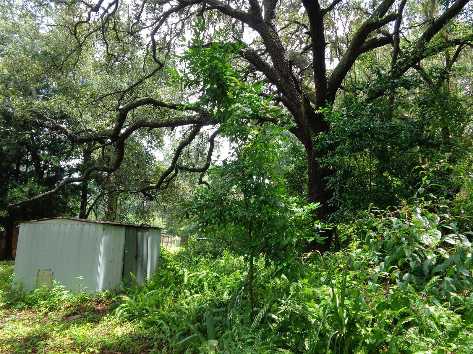 MEADOWS UN 03 - Residential