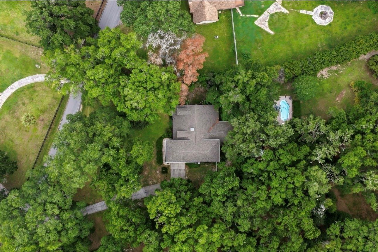FLORIDA ORANGE GROVE - Residential