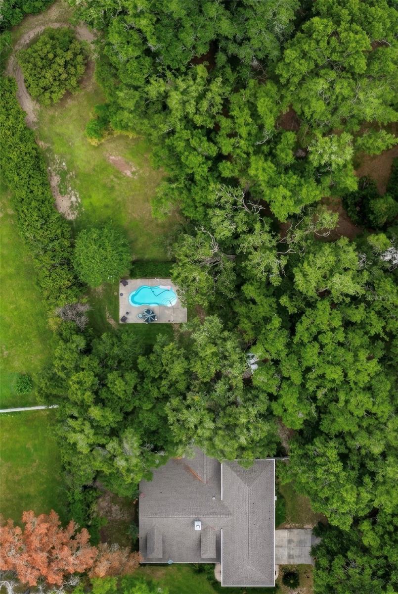 FLORIDA ORANGE GROVE - Residential
