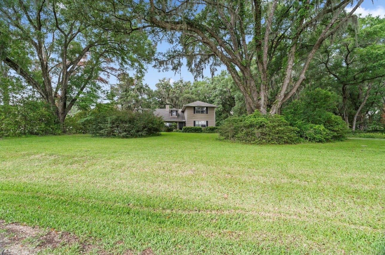 FLORIDA ORANGE GROVE - Residential