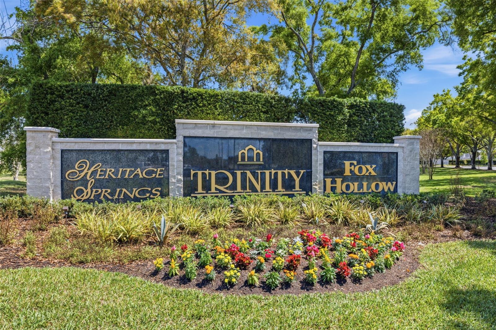VILLAGES AT FOX HOLLOW WEST - Residential