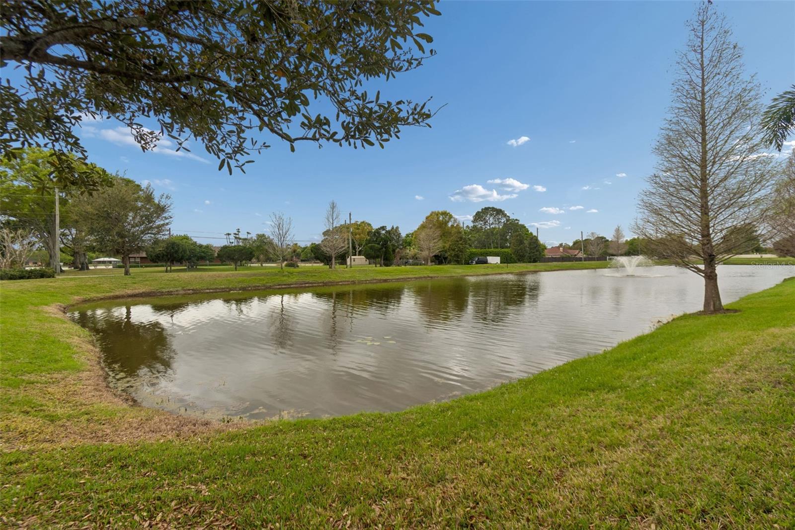 RESERVE AT CITRUS PARK - Residential