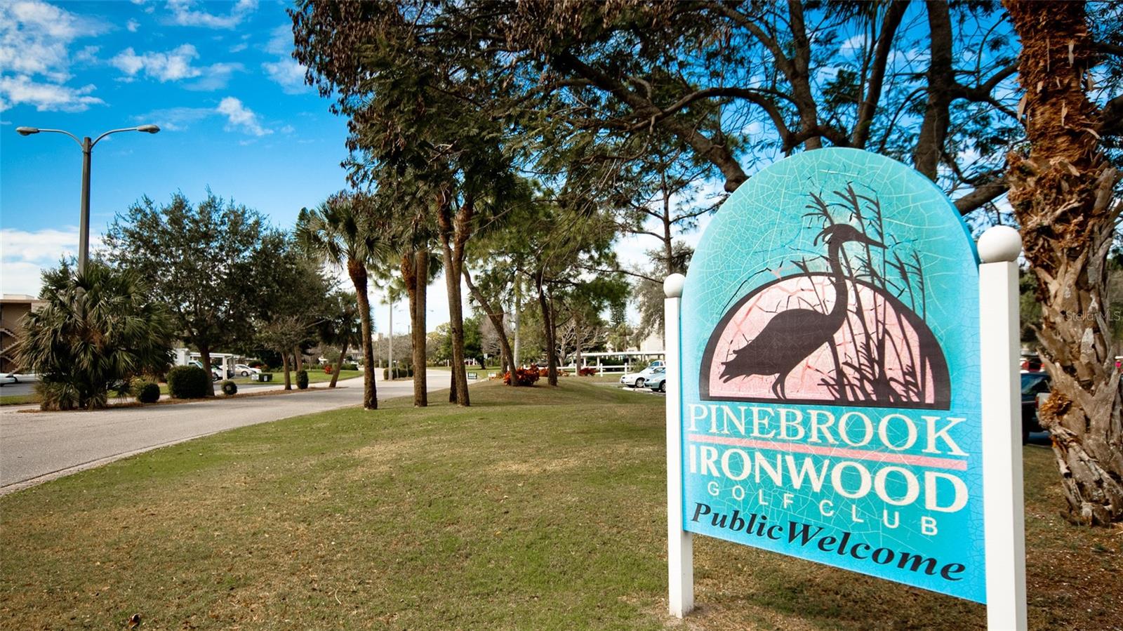 THE FAIRWAYS AT PINEBROOK PH II - Residential