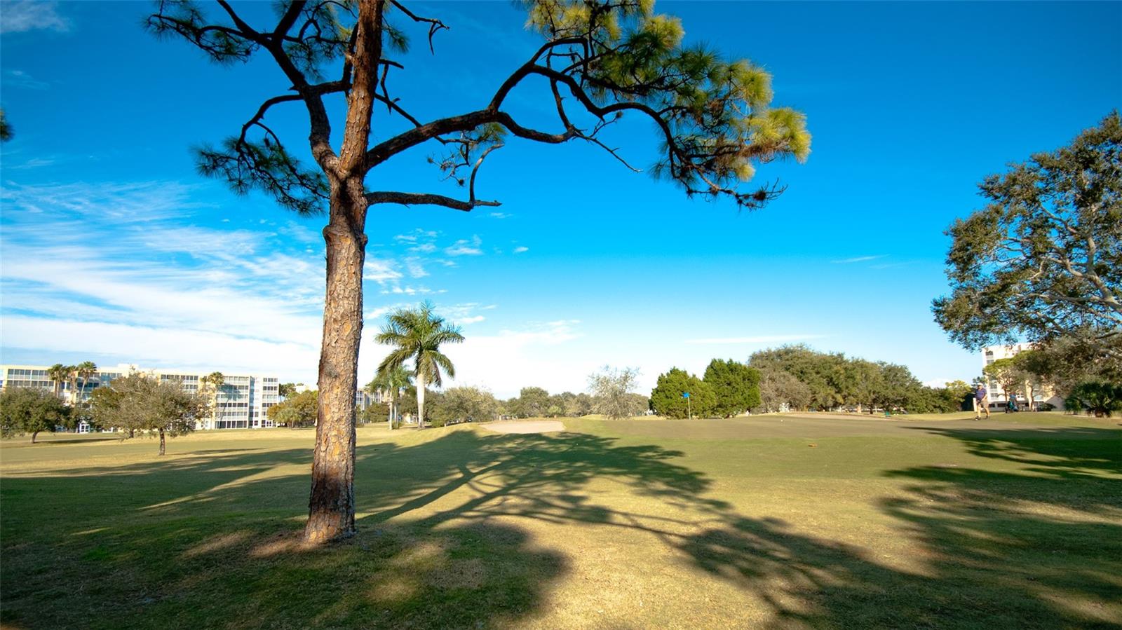 THE FAIRWAYS AT PINEBROOK PH II - Residential