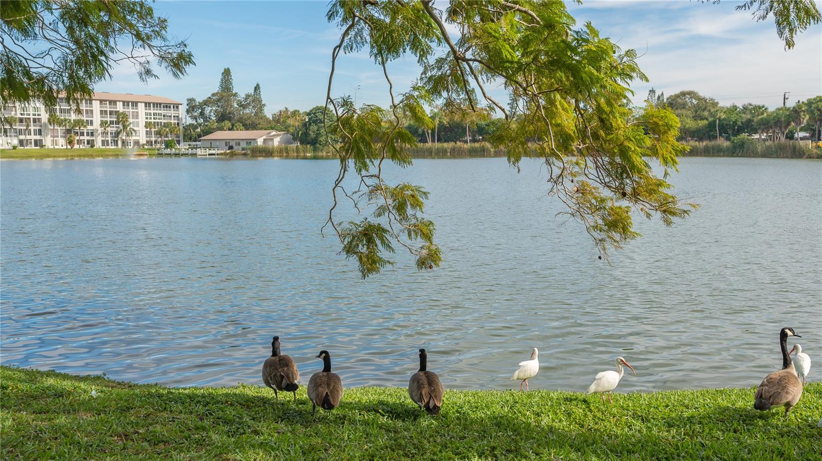 BAYSHORE ON THE LAKE APTS SEC 3 - Residential