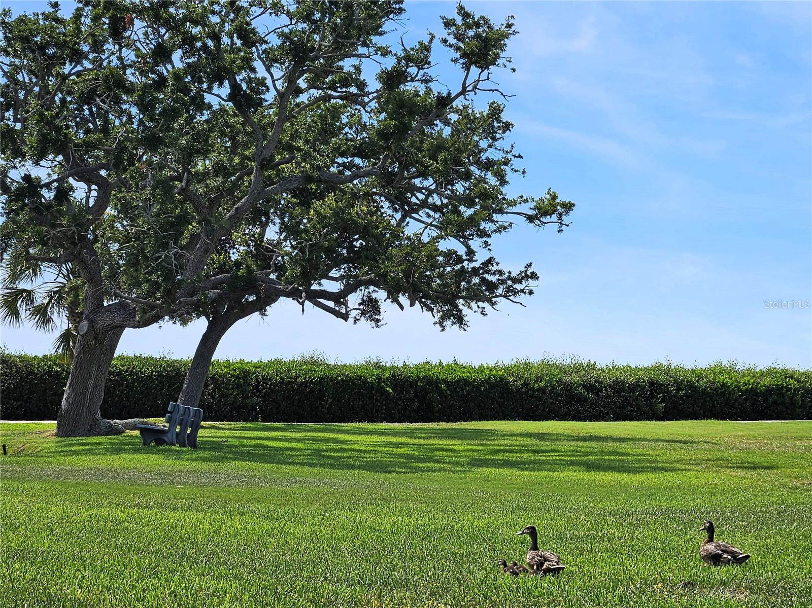 TARPON COVE CONDO - Residential