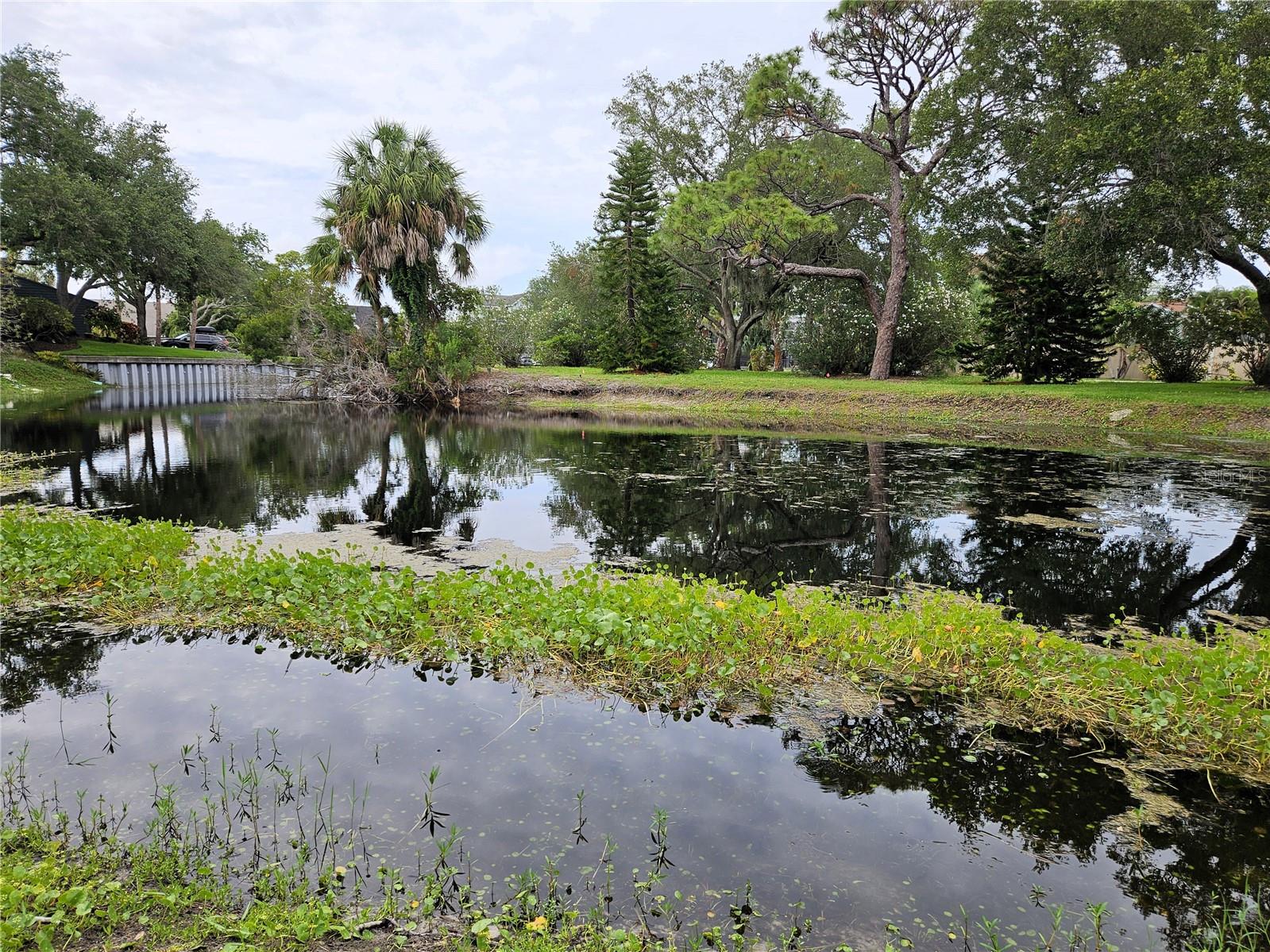 TARPON COVE CONDO - Residential