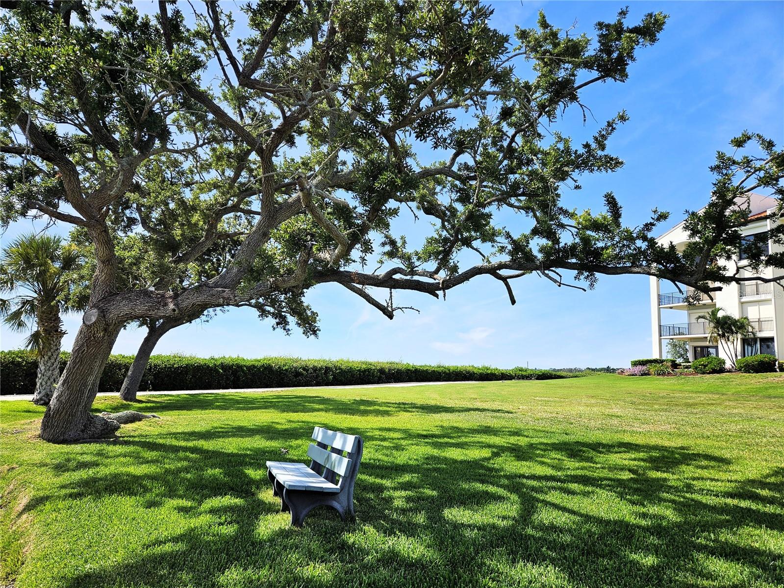 TARPON COVE CONDO - Residential