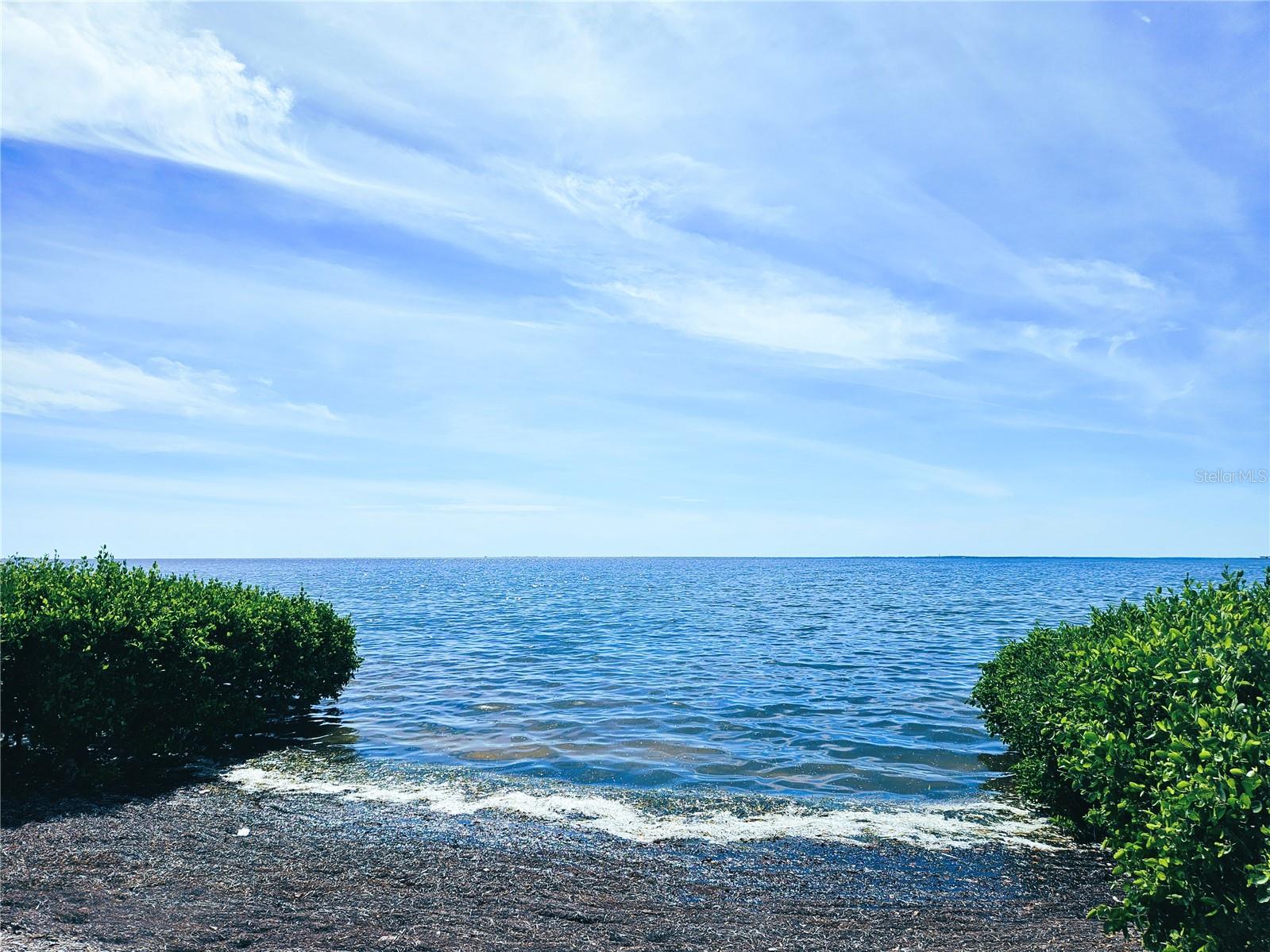 TARPON COVE CONDO - Residential