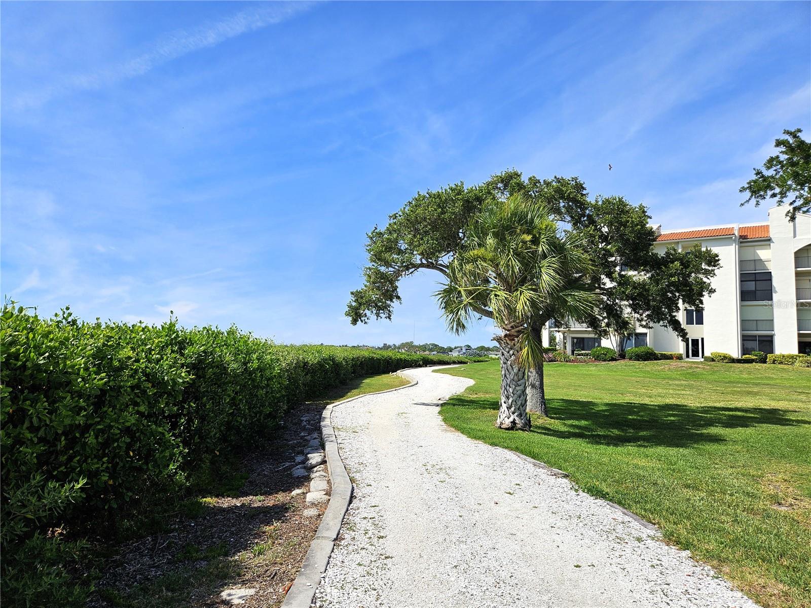 TARPON COVE CONDO - Residential