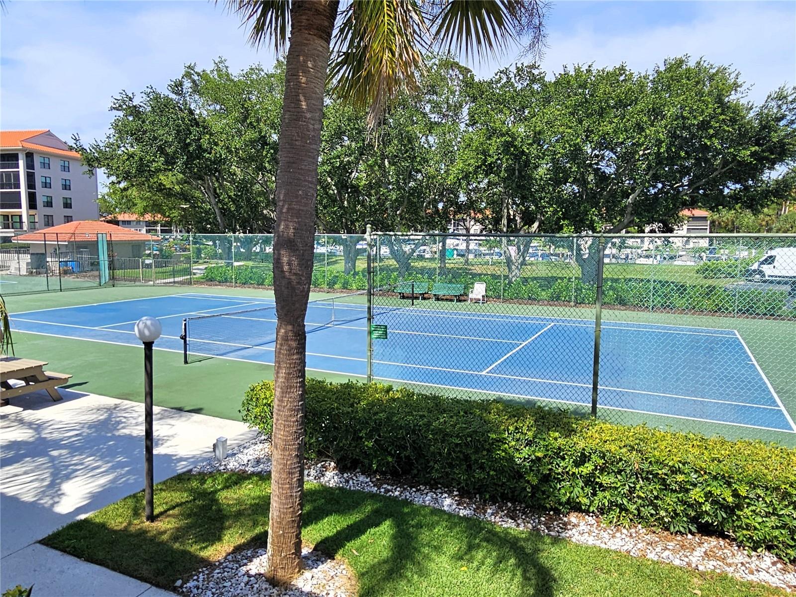 TARPON COVE CONDO - Residential