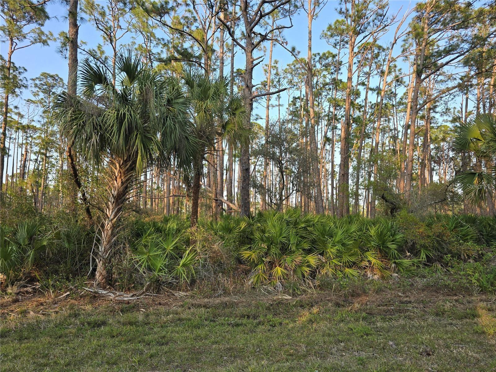 PORT CHARLOTTE SEC 038 - Land
