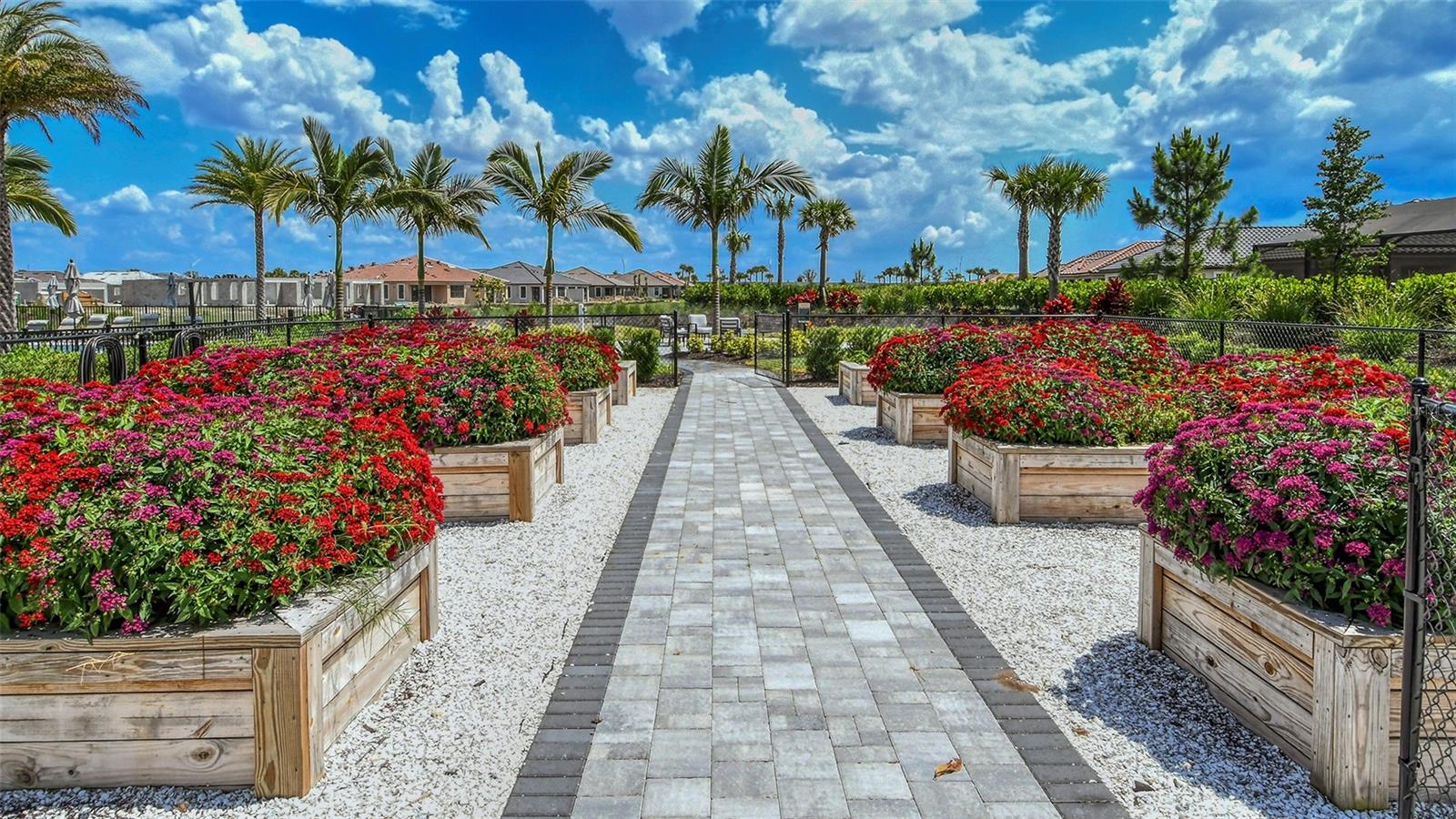 AZARIO ESPLANADE PH V - Residential