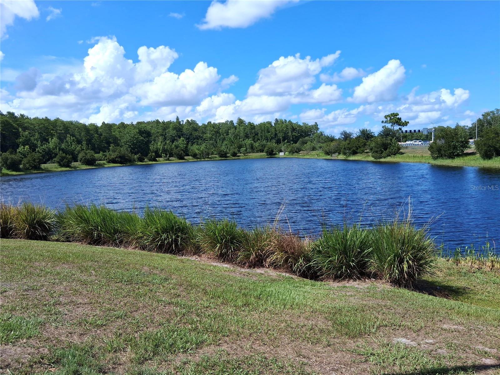 RANDALL WALK - Residential Lease