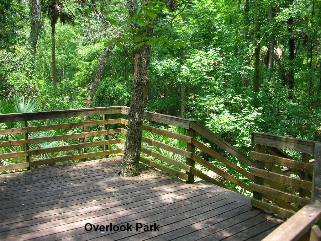 Wedgewood At Spruce Creek - Residential