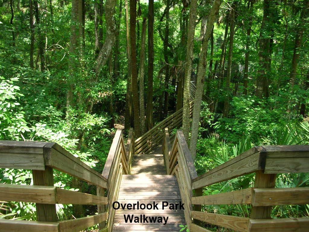 Wedgewood At Spruce Creek - Residential