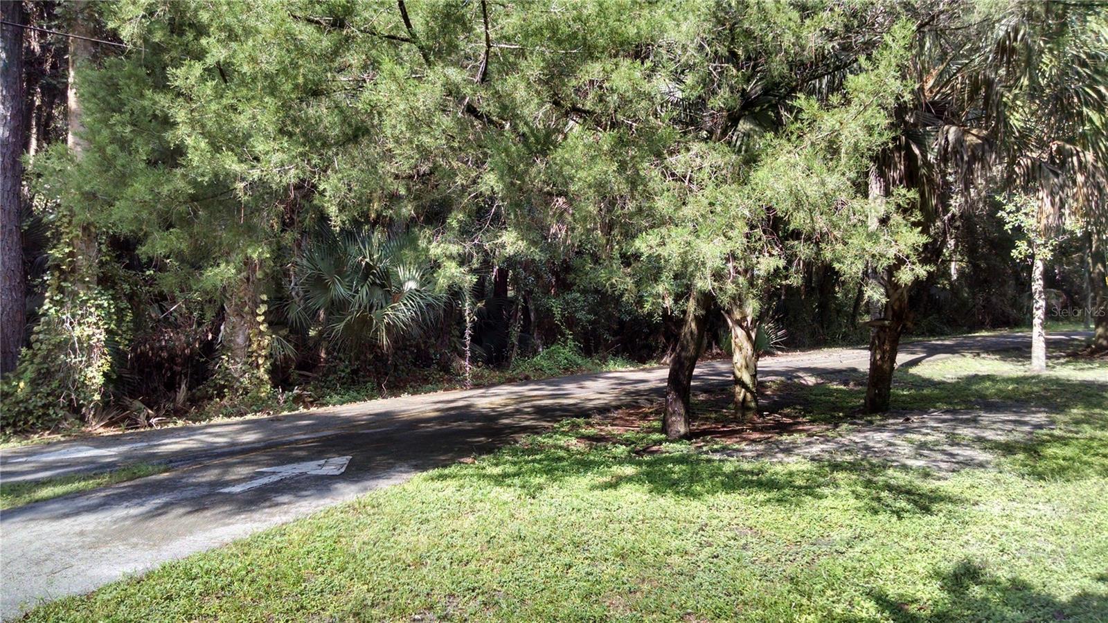 Just off I-4 is the last lot available on Debary's most prestigious street just down the road from the famous Debary mansion. Build your dream home on 224 Mansion Blvd, a highly desirable excellent location on an oversized lot with no HOA. Nestled in one of Volusia county's safest cities, this neighborhood offers a peaceful suburban life style while keeping you conveniently located to major employment hubs and outdoor recreation and shopping. Your new home lot has been surveyed and is high and dry ready to build. Enjoy a short walk or bike ride to Gemini Springs Park or the Debary Sun Rail Trail where the new downtown center is being built.