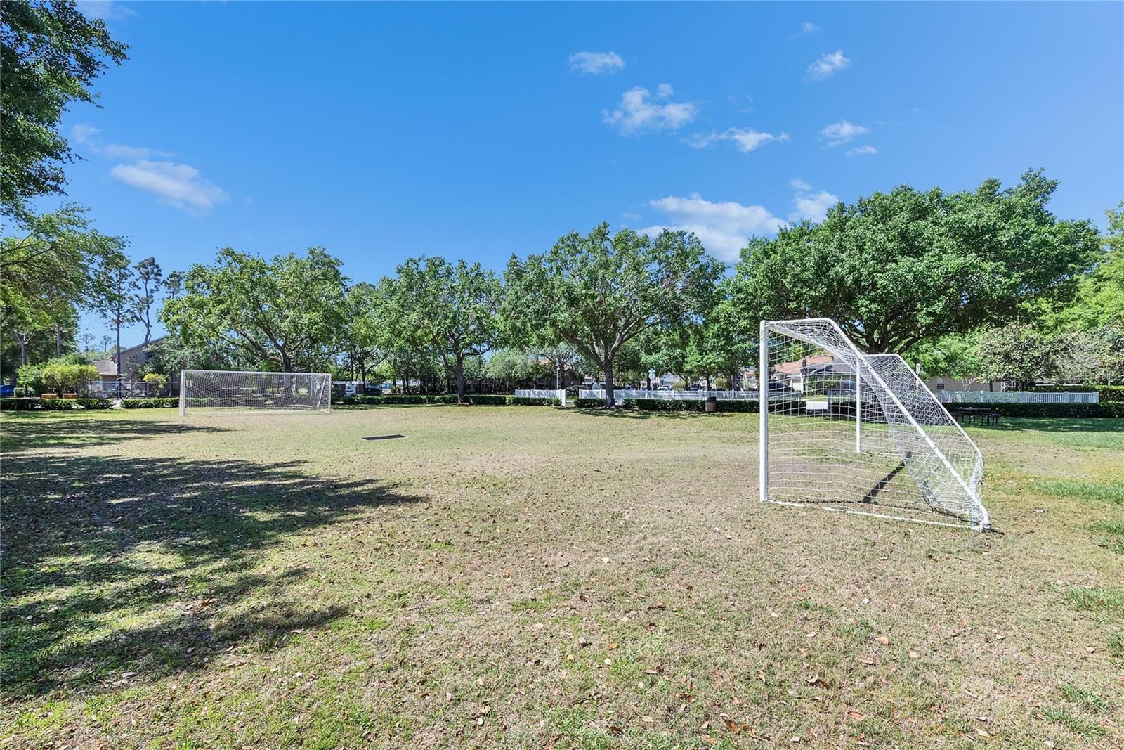 WILDERNESS LAKE PRESERVE PH 02 - Residential