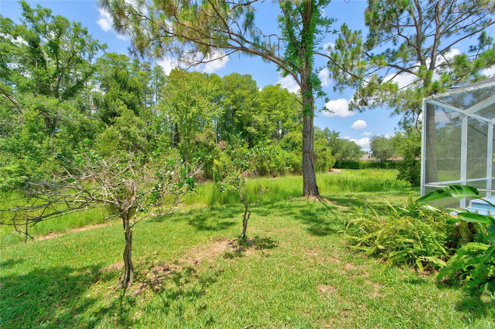 WILDERNESS LAKE PRESERVE PH 02 - Residential