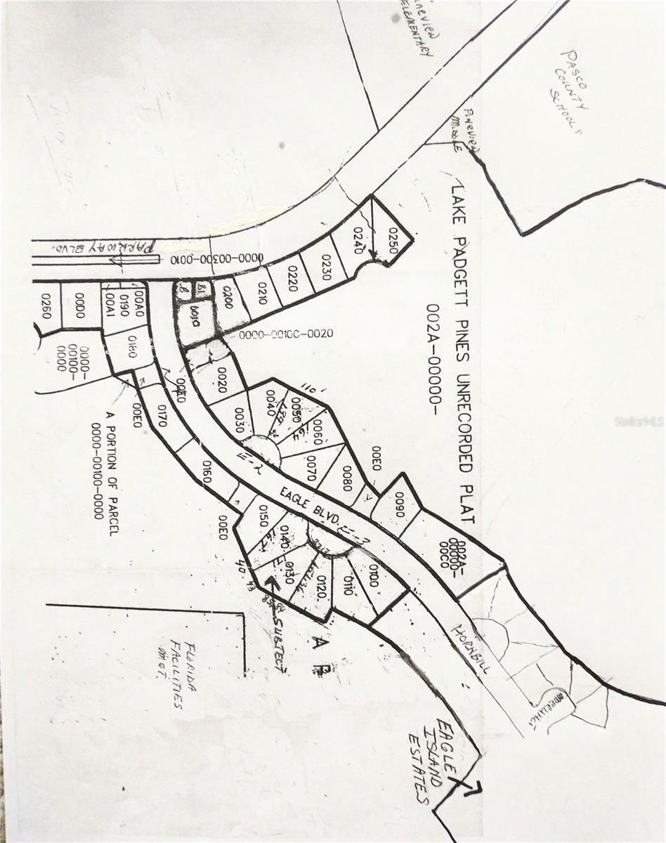 LAKE PADGETT PINES - Land