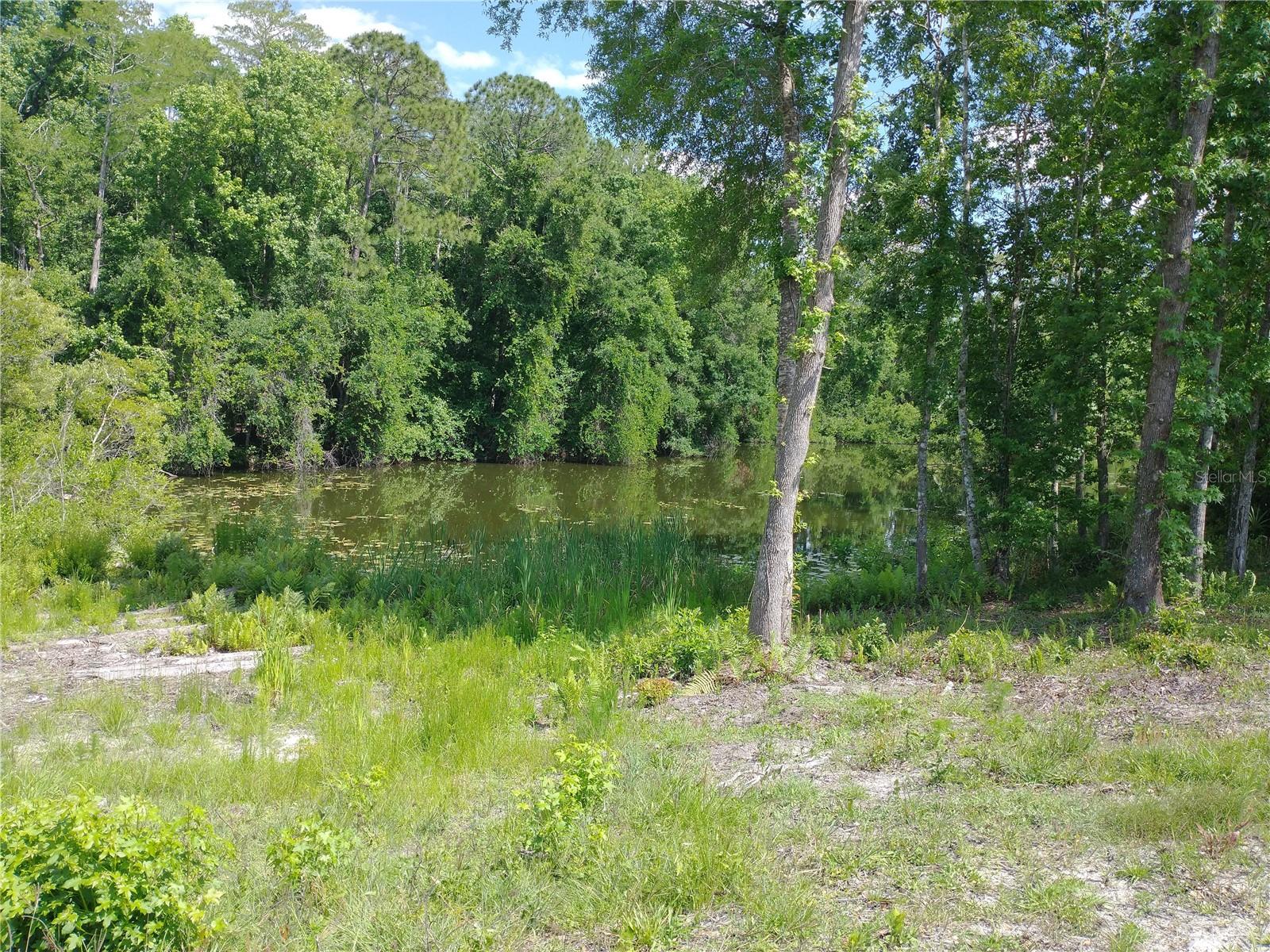 LAKE PADGETT PINES - Land