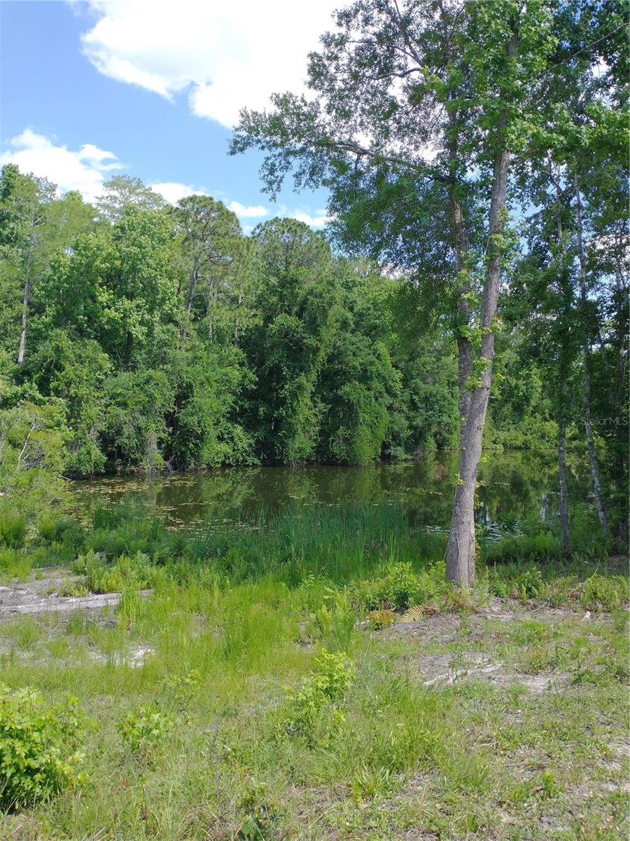 LAKE PADGETT PINES - Land