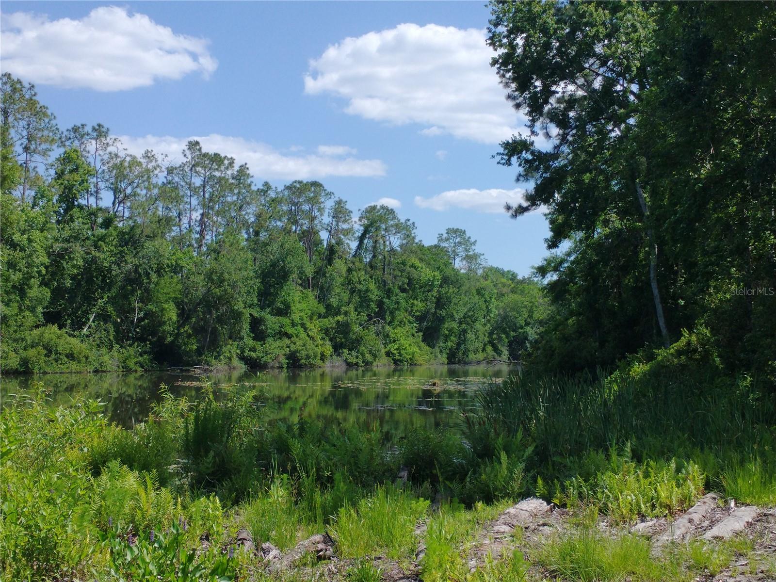 LAKE PADGETT PINES - Land