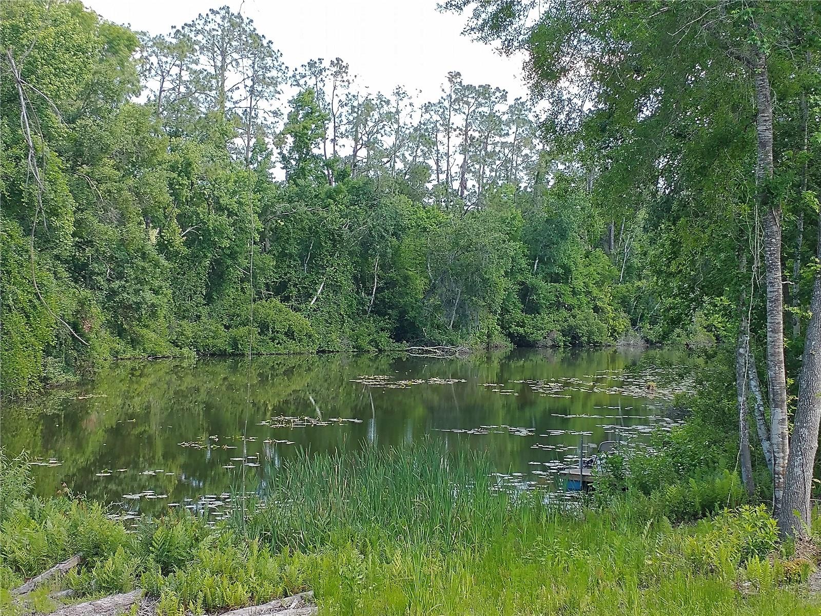 LAKE PADGETT PINES - Land