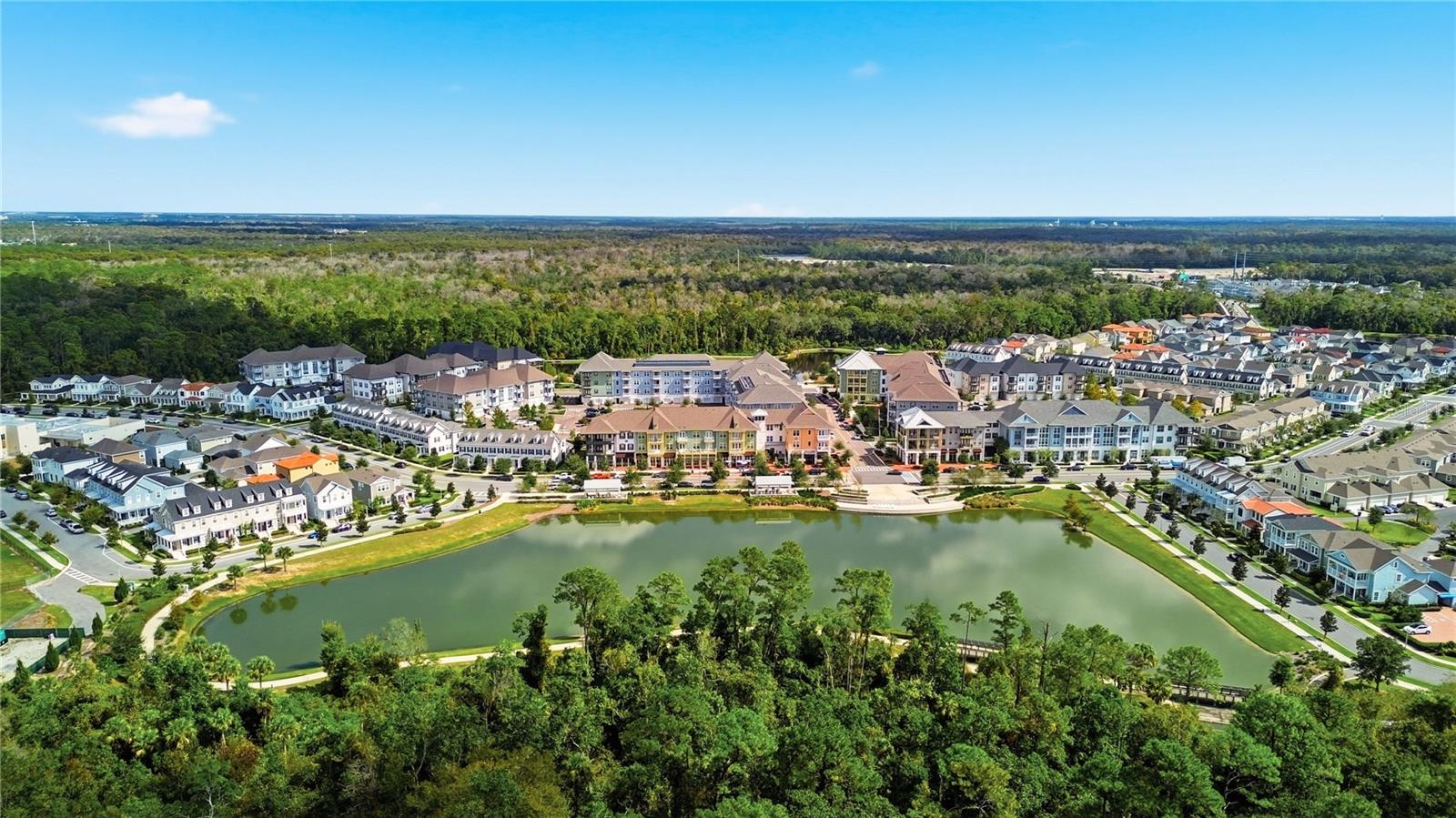 CELEBRATION ISLAND VILLAGE - Residential