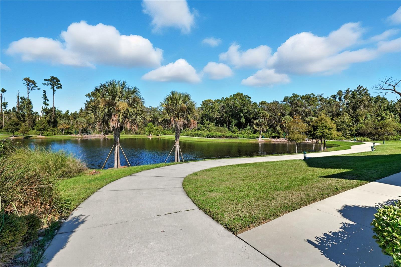 CELEBRATION ISLAND VILLAGE - Residential