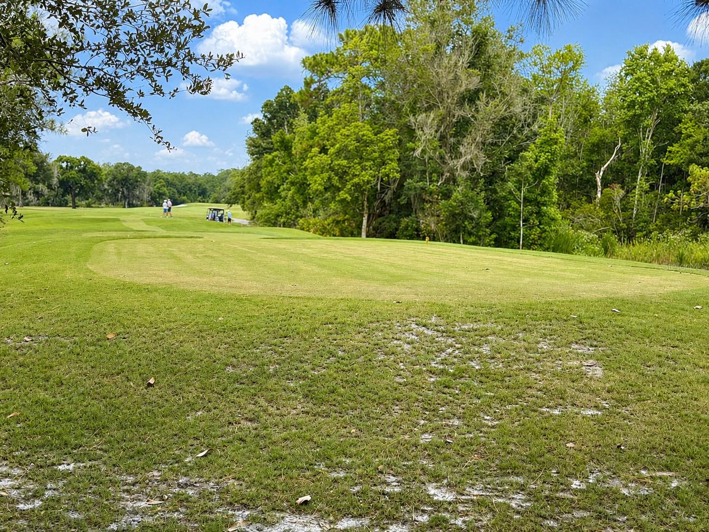 HUNTERS GREEN - Residential