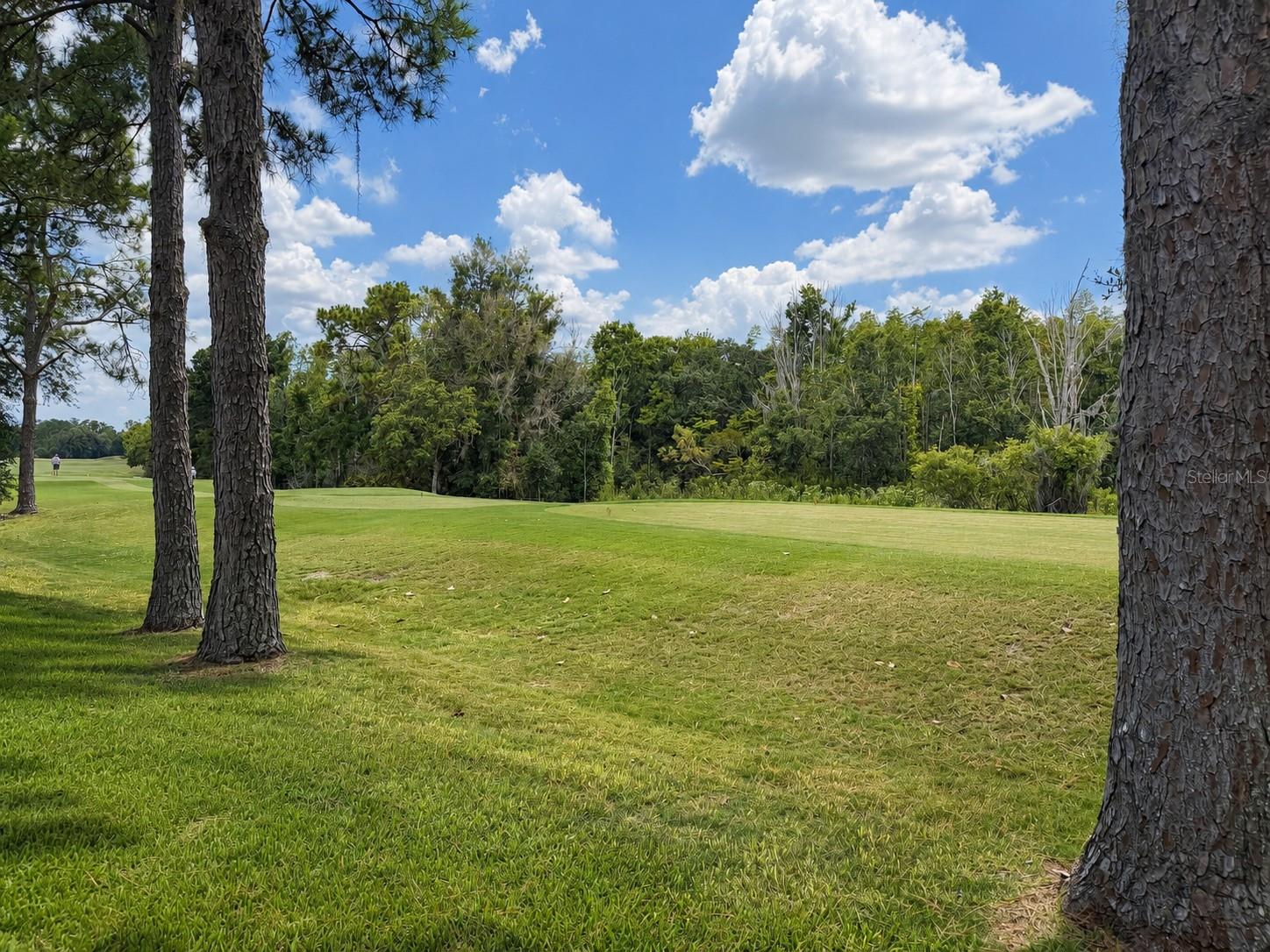 HUNTERS GREEN - Residential