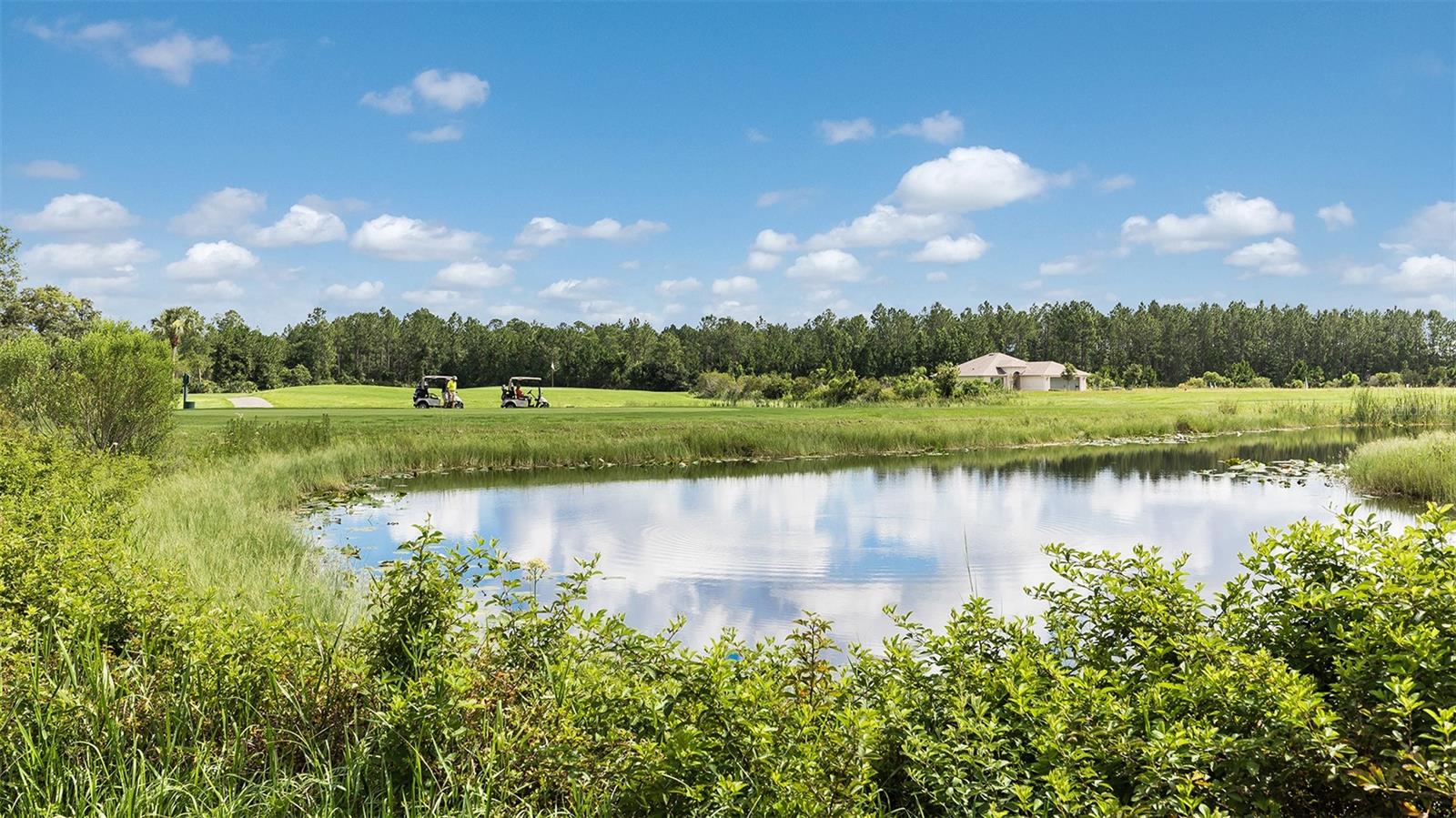 GRAND RESERVE AND GOLF CLUB - Residential