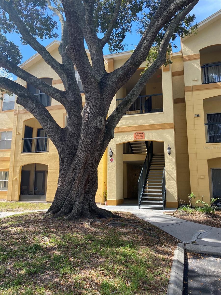 PINNACLE AT CARROLLWOOD - Residential Lease