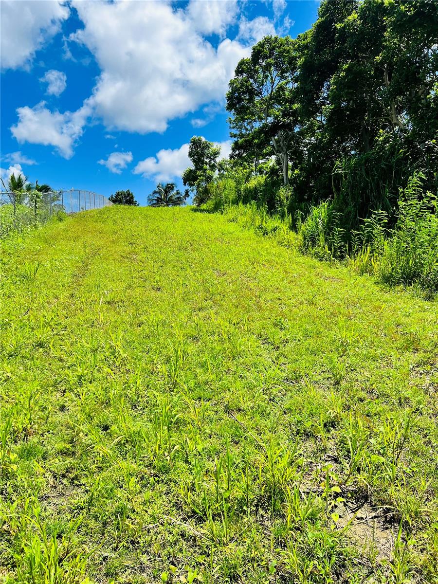 Your Private Slice of Paradise – 2.35 Acres in the Tranquil Hills of Carolina, Puerto Rico
End-of-the-Road Privacy | Fertile Land | Investment Opportunity | Minutes from Beaches and San Juan

Nestled at the end of a private cul-de-sac, this expansive 9,527 m² lot (approximately 102,550 ft² or 2.35 acres) offers unmatched privacy, serenity, and potential in the lush hills of Carolina, Puerto Rico. With its semi-flat terrain, gentle elevation, and fertile soil, this property is ideal for a variety of uses—from your dream home or vacation retreat to an eco-friendly business or small-scale agricultural project.

Just a short drive from Old San Juan, the Luis Muñoz Marín International Airport (SJU), El Yunque Rainforest, and the island’s best beaches, this location balances seclusion with convenience. Nearby you’ll find zip-lining, golf courses, fine dining, nightlife, water sports including jet skiing and diving, hiking trails, and museums—making it a top choice for adventure-seekers and relaxation-lovers alike.

Key Features:

End-of-road cul-de-sac location ensures privacy and peace

Zoned for residential, agricultural, or eco-tourism development

Perfect for building a custom home, container home, camper, or off-grid living setup

Fertile land suitable for growing bananas, plantains, tropical fruits, or farm-to-table agriculture

Just minutes from Carolina’s urban center, universities, and business hubs

Ideal for Airbnb hosts, retirees, investors, or green entrepreneurs

Whether you’re envisioning a private estate, a self-sustainable farm, or a vacation rental investment, this one-of-a-kind property offers the perfect canvas. Wake up to the sound of birdsong, grow your own crops, and enjoy life surrounded by natural beauty—all while staying connected to the vibrant culture and amenities of Puerto Rico.

Location: Hills of Carolina, Puerto Rico
Size: 9,527 m² | 102,550 ft² | 2.35 acres
Opportunity: Residential, Agricultural, Investment