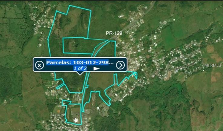 HATILLO LAND 179 ACRES - Land