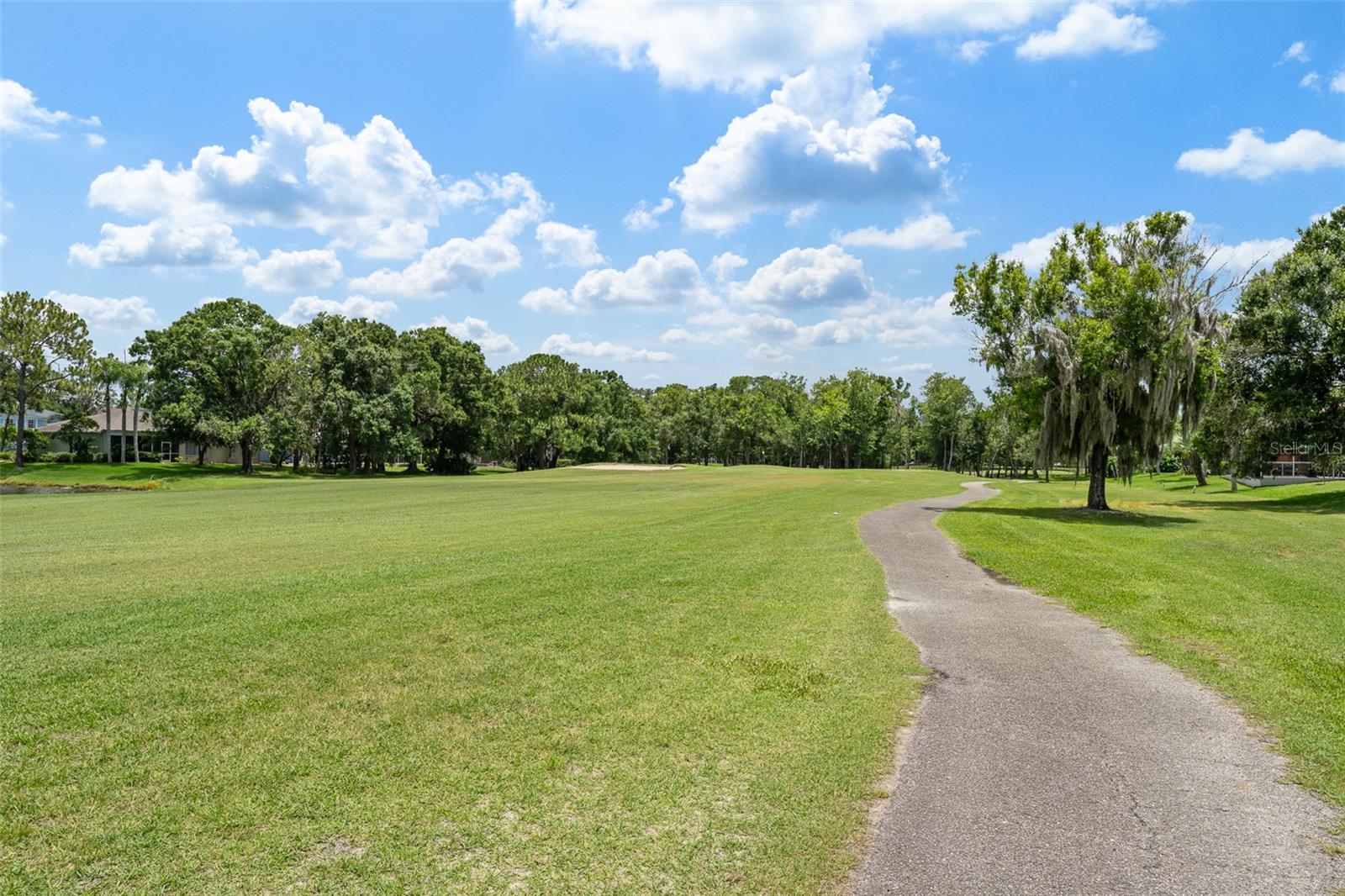 WINDSOR PARK AT THE EAGLES-FI - Residential