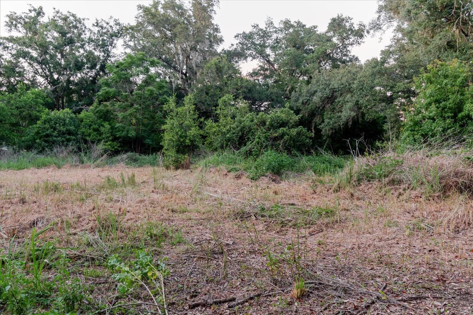 UNPLATTED - Land