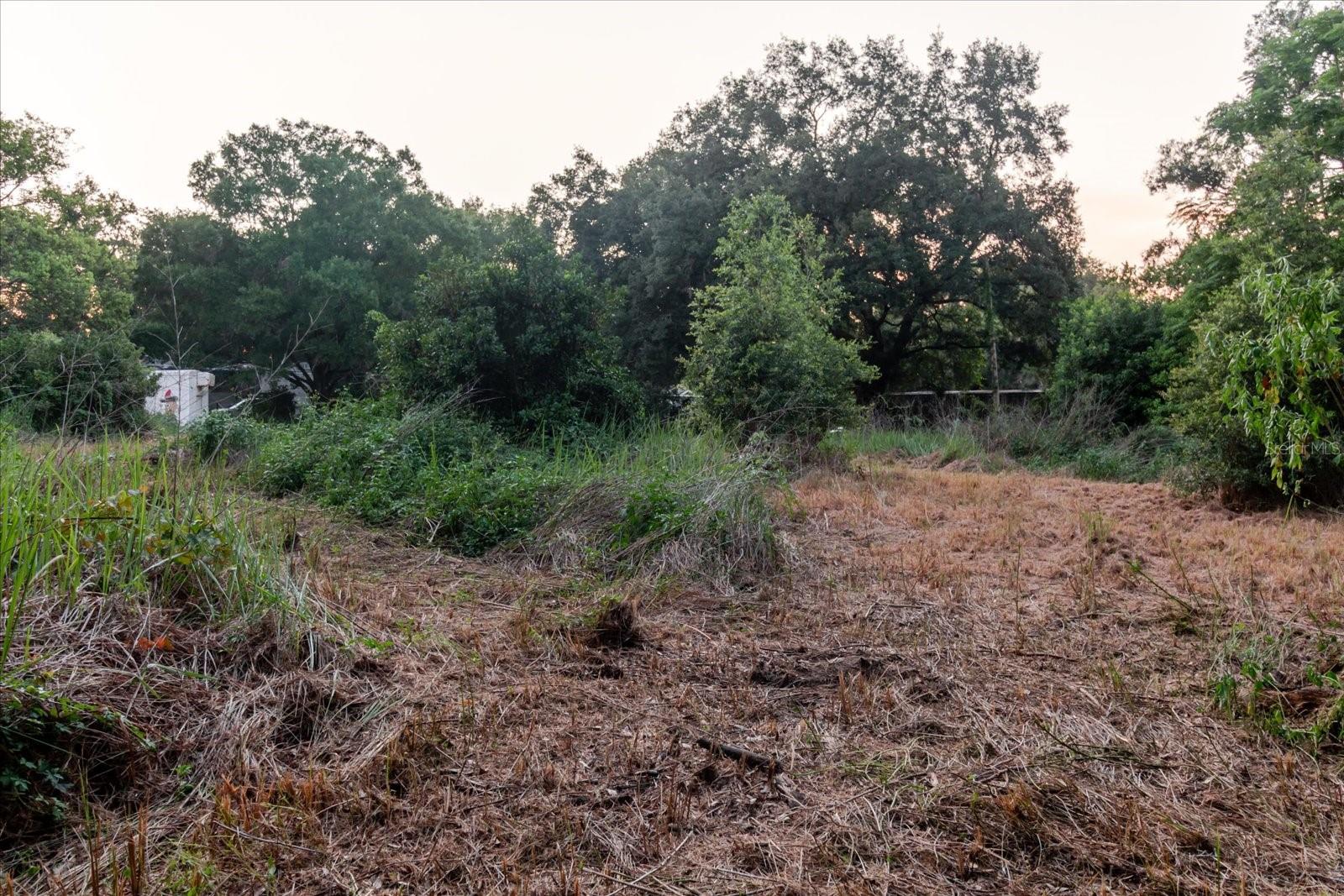 UNPLATTED - Land