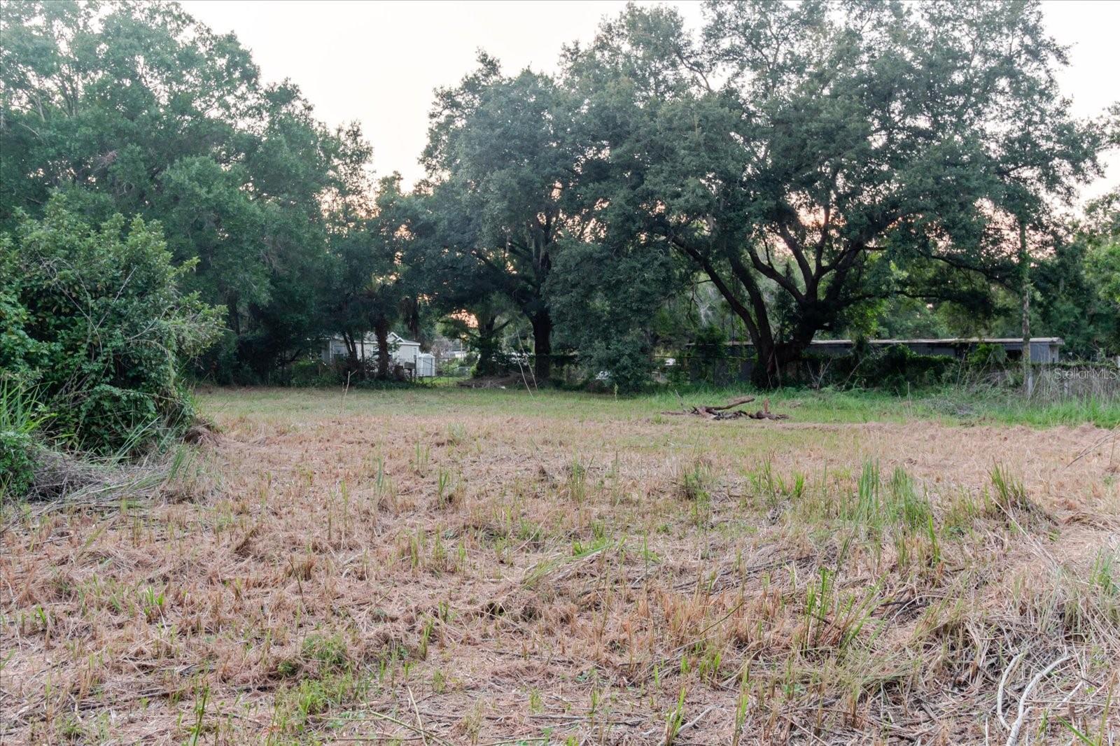 UNPLATTED - Land