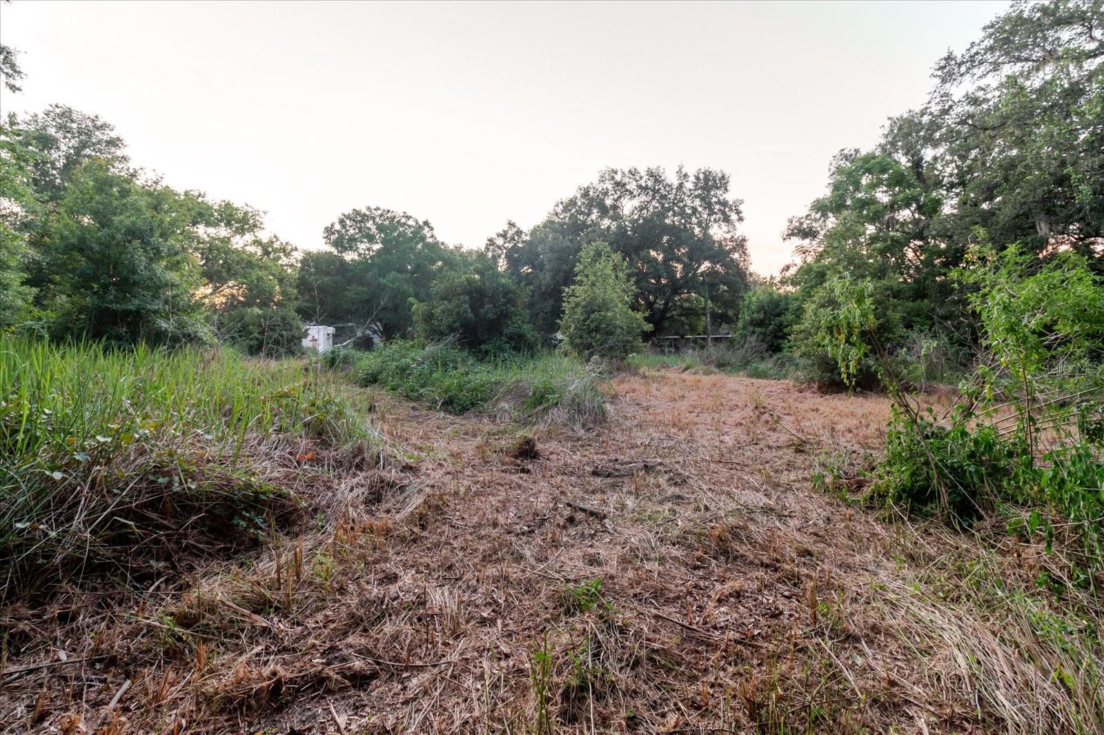 UNPLATTED - Land