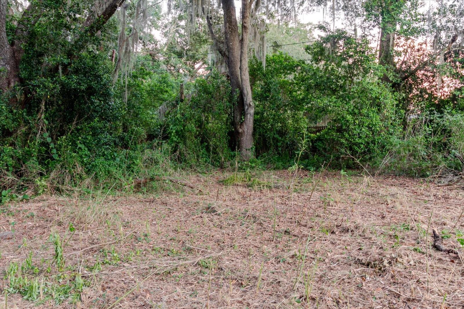 UNPLATTED - Land