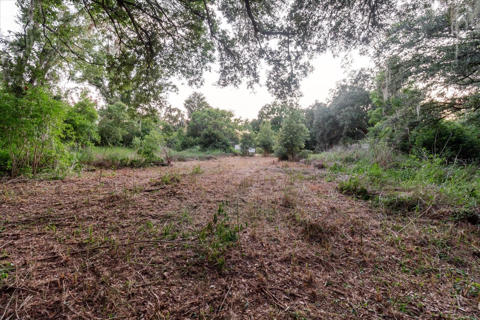 UNPLATTED - Land