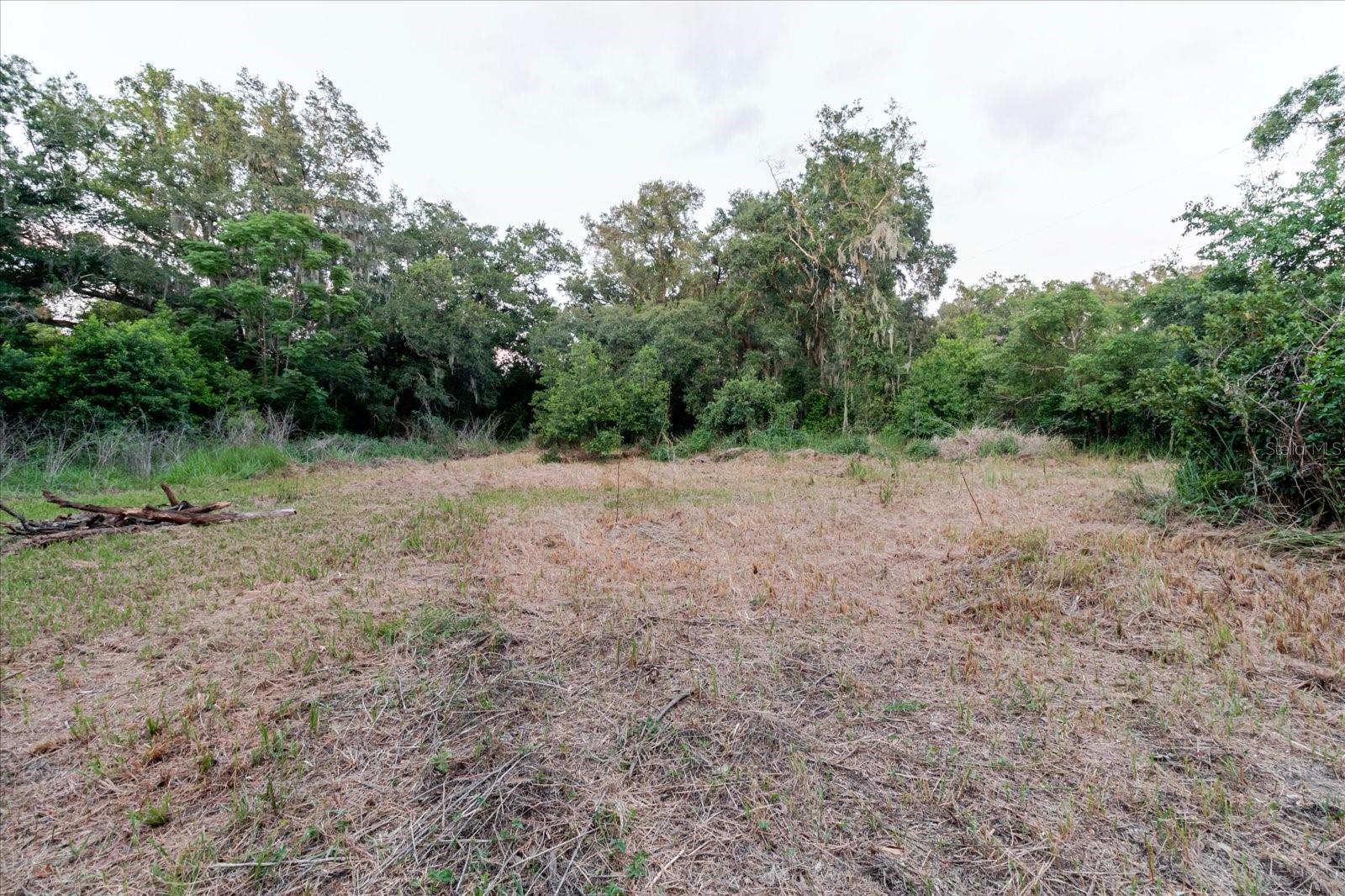 UNPLATTED - Land