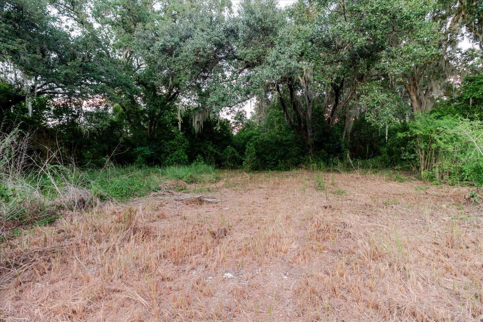 UNPLATTED - Land