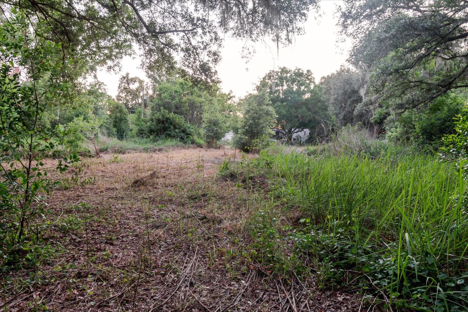 UNPLATTED - Land
