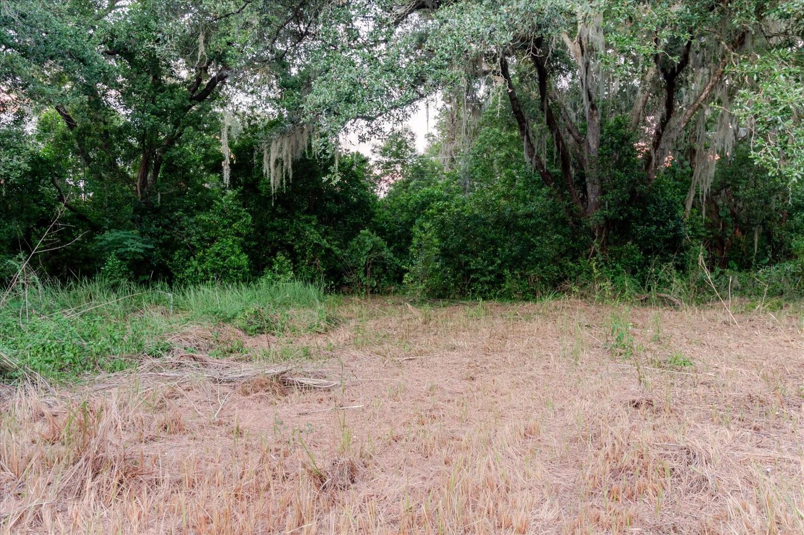 UNPLATTED - Land