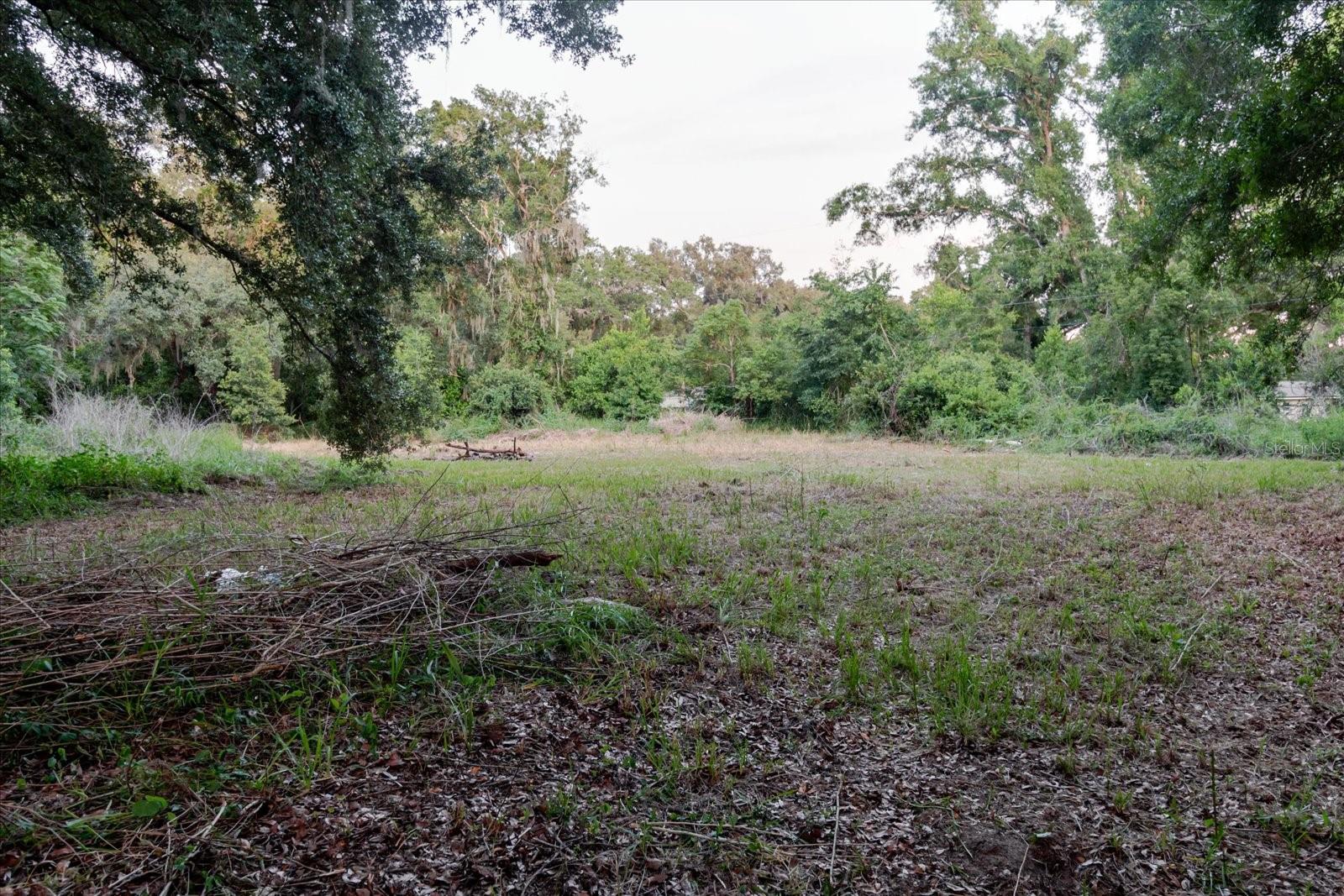Excellent opportunity at 11152 Galaxy Ln in Thonotosassa! This spacious and private lot offers a peaceful country-style setting with mature trees and great potential to create the space you have been looking for. There is currently no mobile home or residential structure on the property, providing flexibility for future development, building, or personal use in accordance with applicable zoning and permitting requirements. Enjoy room for an RV, boat, work vehicles, garden, pets, or outdoor projects. Conveniently located near Fowler Ave, US-301, I-75, I-4, Brandon, New Tampa, and Wesley Chapel. Buyer and buyer’s agent to verify all measurements, lot size, zoning, utilities, permits, restrictions, access, and intended use of the property.